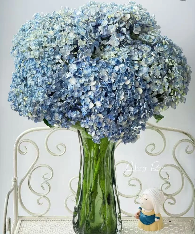 小羊【爆米花绣球】养护周期长 可做干花 | 单品任意两单升级快递