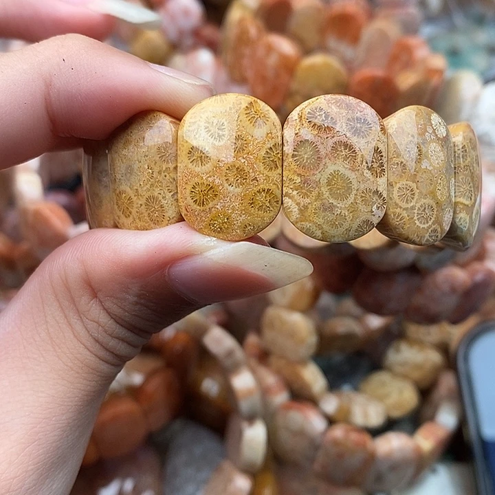 行***人硅化玉颈饰未镶嵌