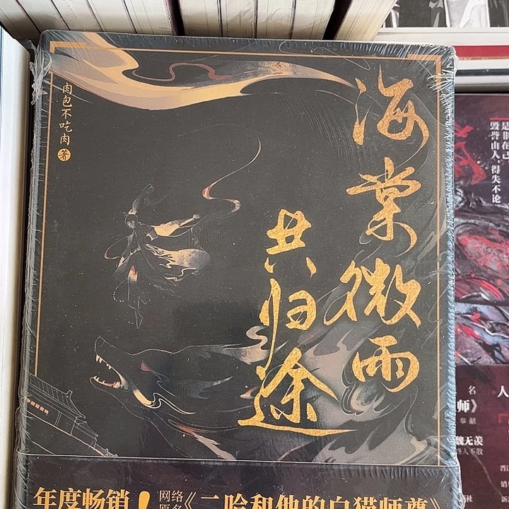 海棠微雨共归途全新全套六本