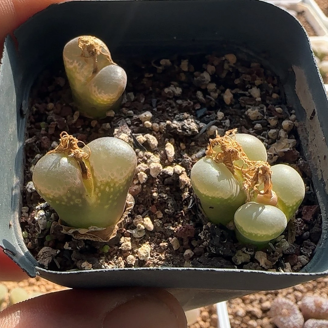 哈哈哈哈哈哈哈57041