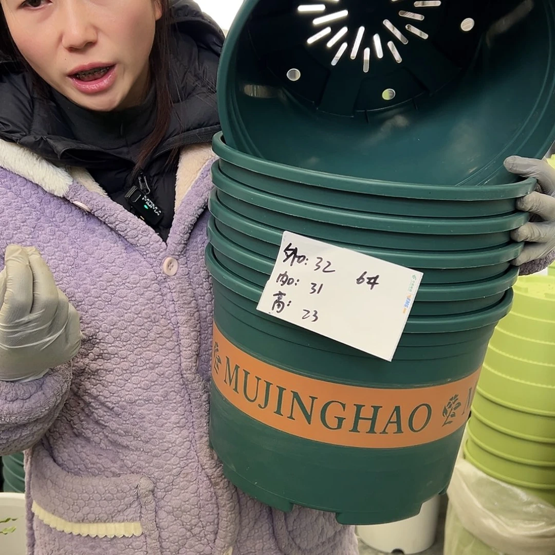 瑕疵矮胖6#墨绿6个无托