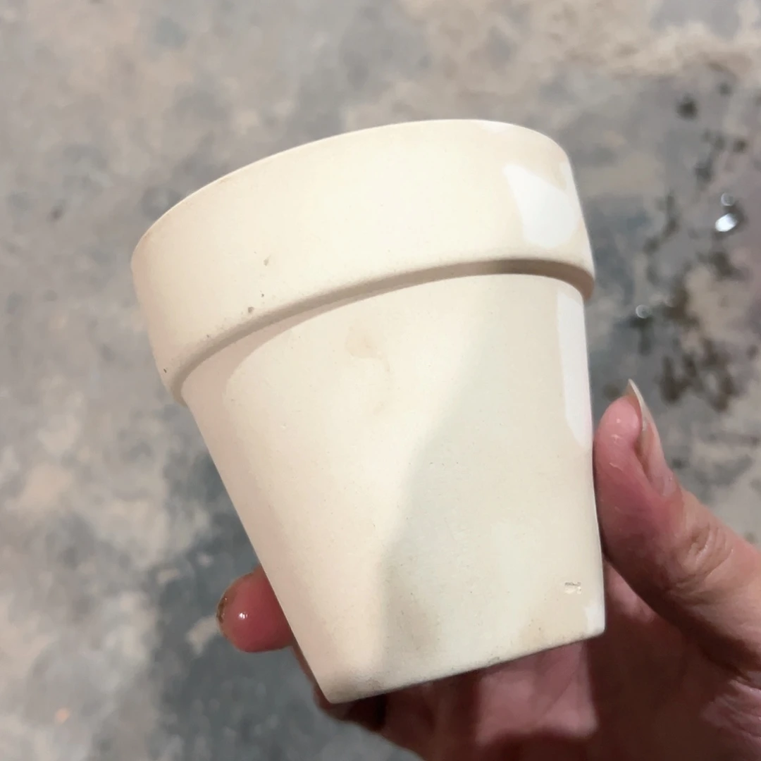 【闪购商品】红陶一分钱