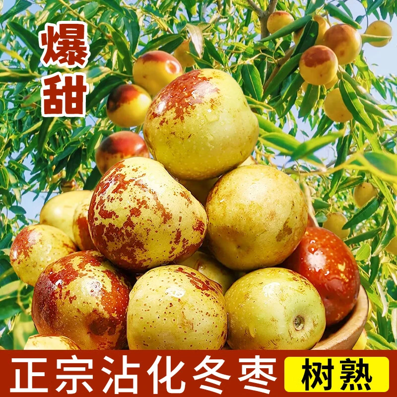 山东沾化冬枣新鲜大枣冰糖脆甜特大果包邮孕妇水果当季水果脆青枣
