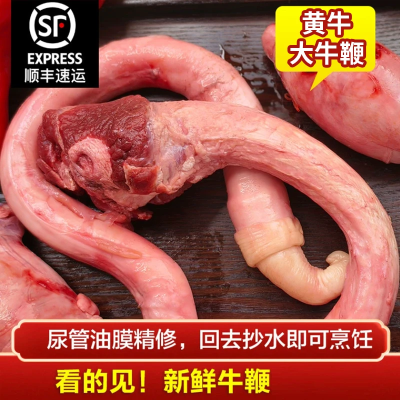 牛鞭新鲜整根无包皮包邮牦牛鞭黄牛鞭冷冻商用纯鞭新鲜牛鞭
