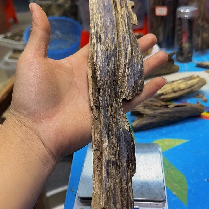 沉香碎屑沉香众****高海南绿棋块料43克