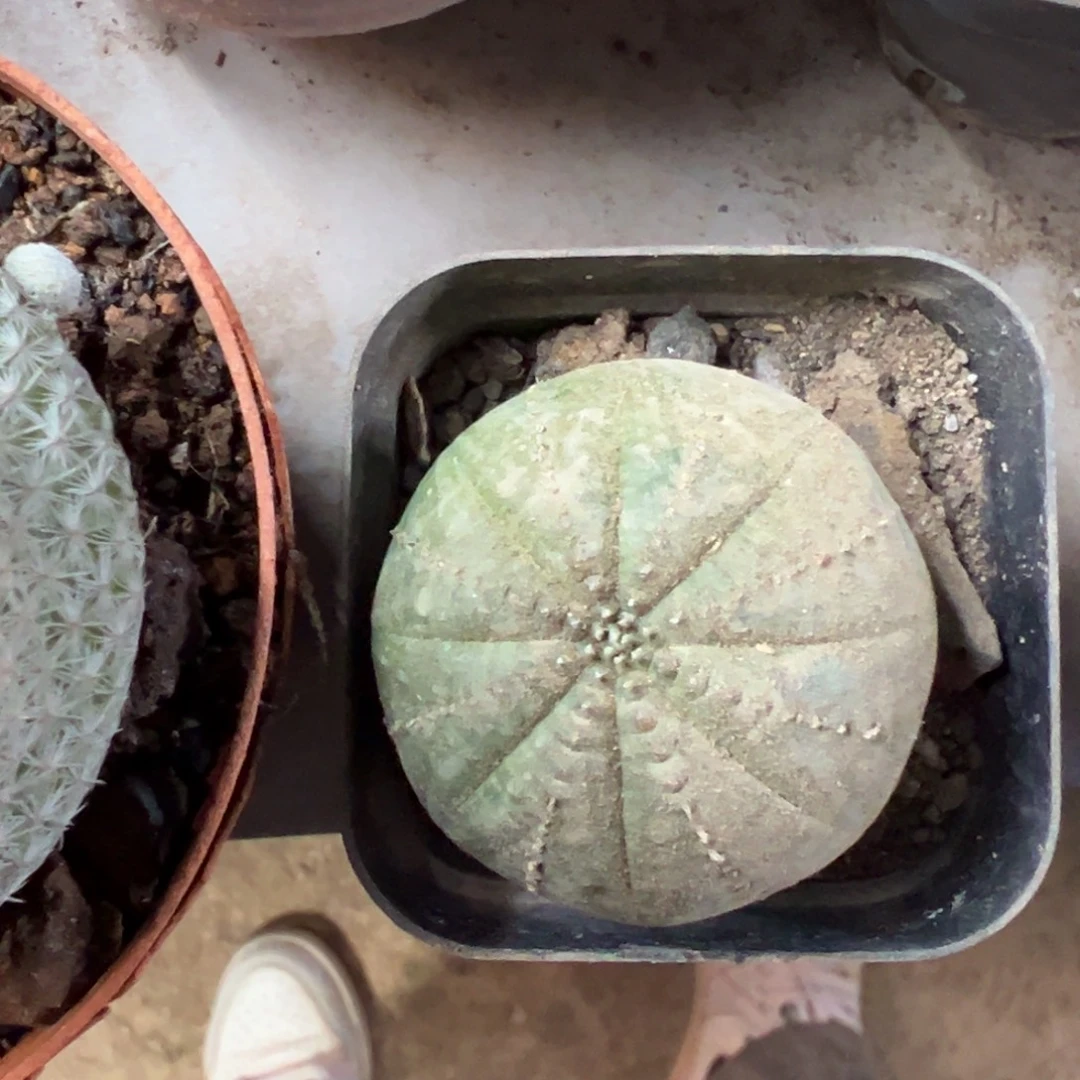 *****哈哈哈哈哈哈哈哈哈哈哈