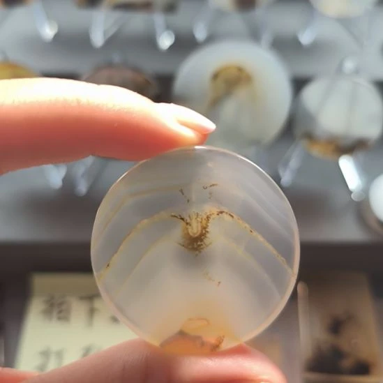 玛瑙/玉髓合金颈饰蜘蛛