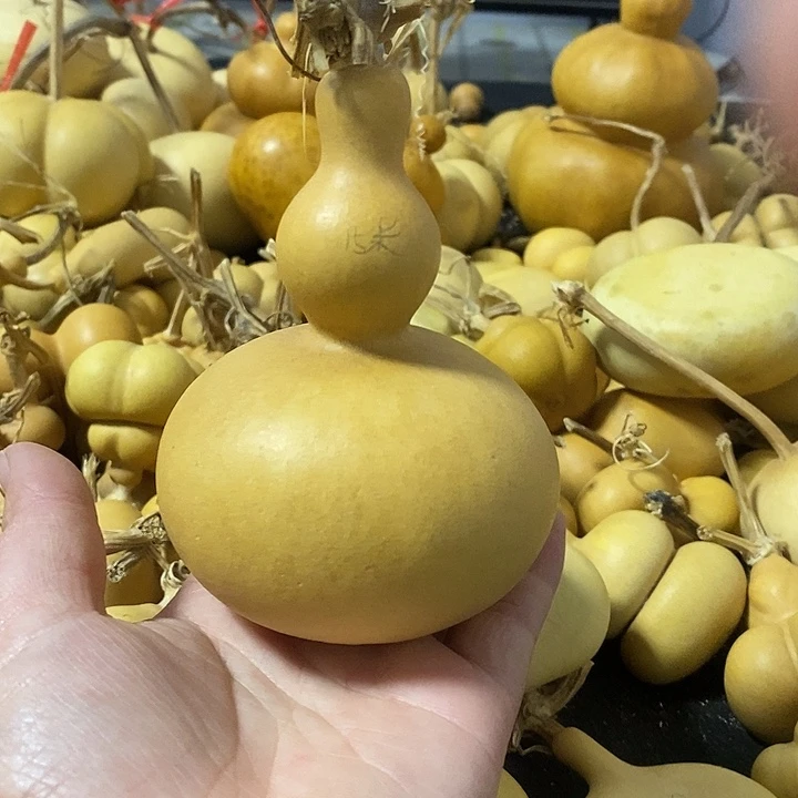 葫芦的颜色很好看