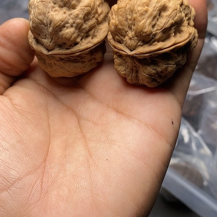 文玩核桃把件   83