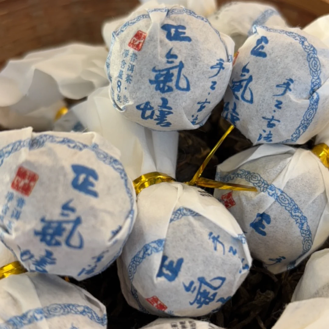 2025年正气塘古树龙珠