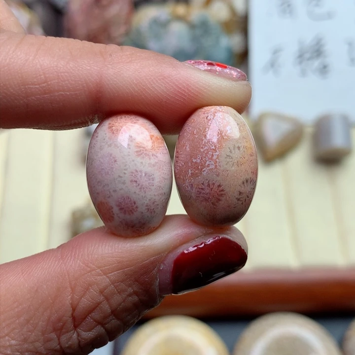 硅化珊瑚（珊瑚玉）颈饰未镶嵌