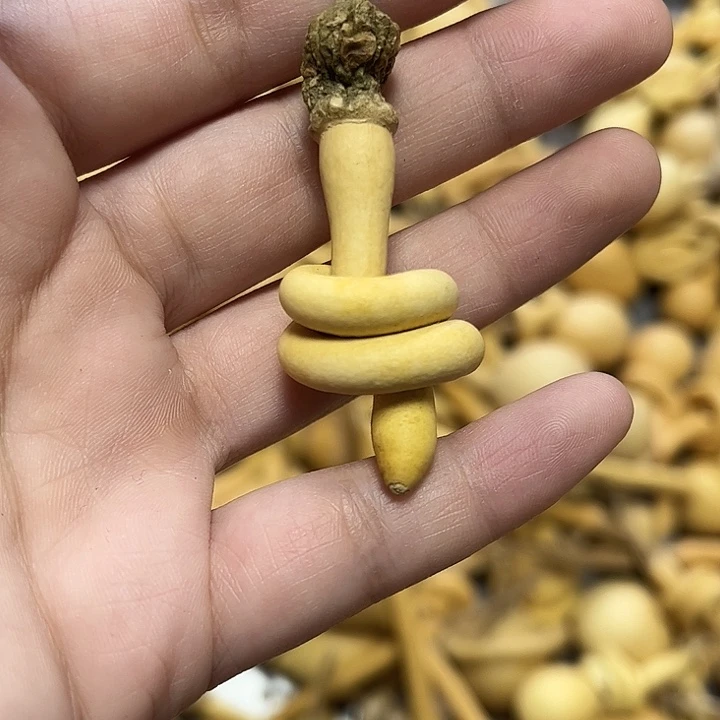 呵***啊双层一把葫芦