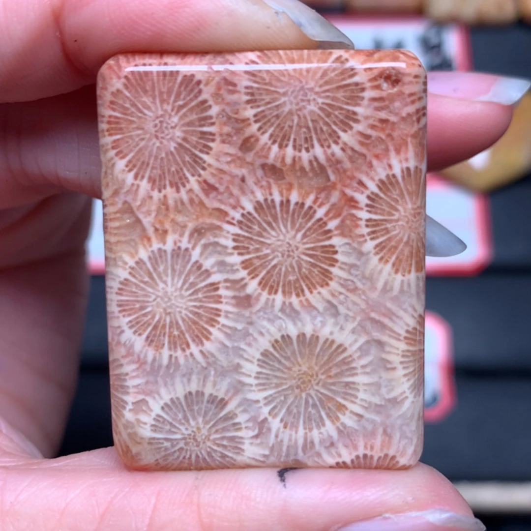 【闪购商品】硅化玉颈饰未镶嵌清*