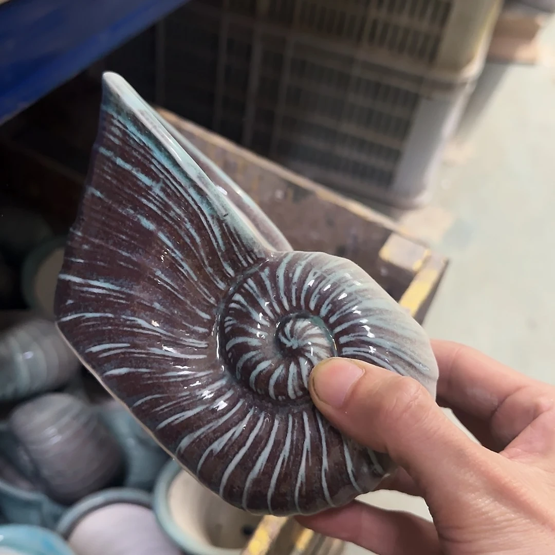 福利局绿植多肉盆［凑9元包邮24小时发］3074