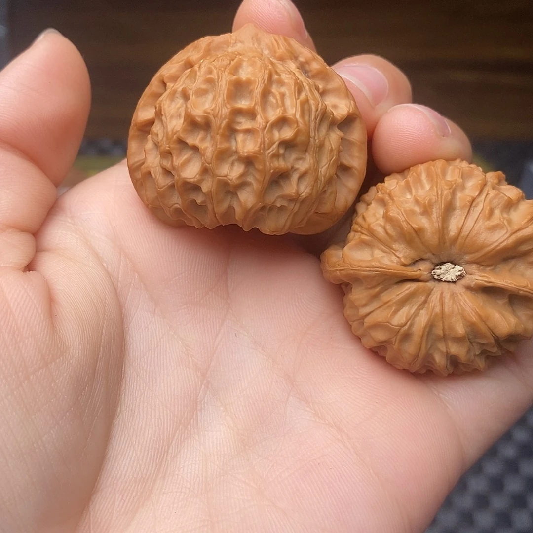 文玩核桃把件全品朝阳沟角蛙38尺