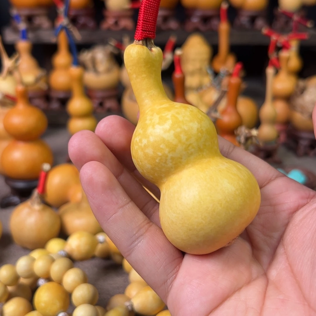 葫芦花叶双脐连体