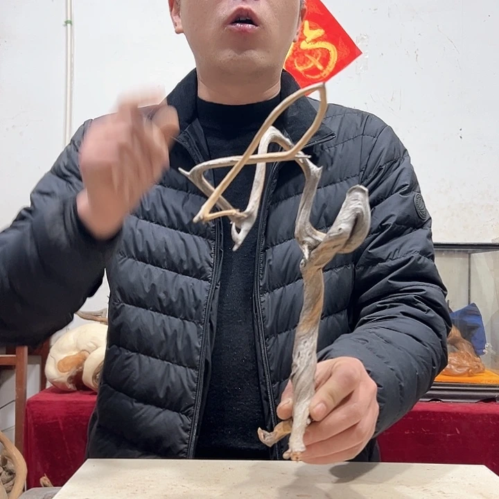 柏木道****5我们的生活也是如此吧