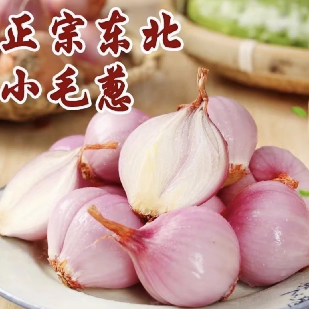 东北小园毛葱5斤正宗
