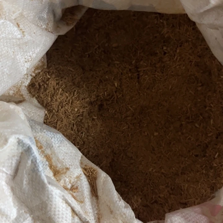 太行崖柏黑油粗粉2斤