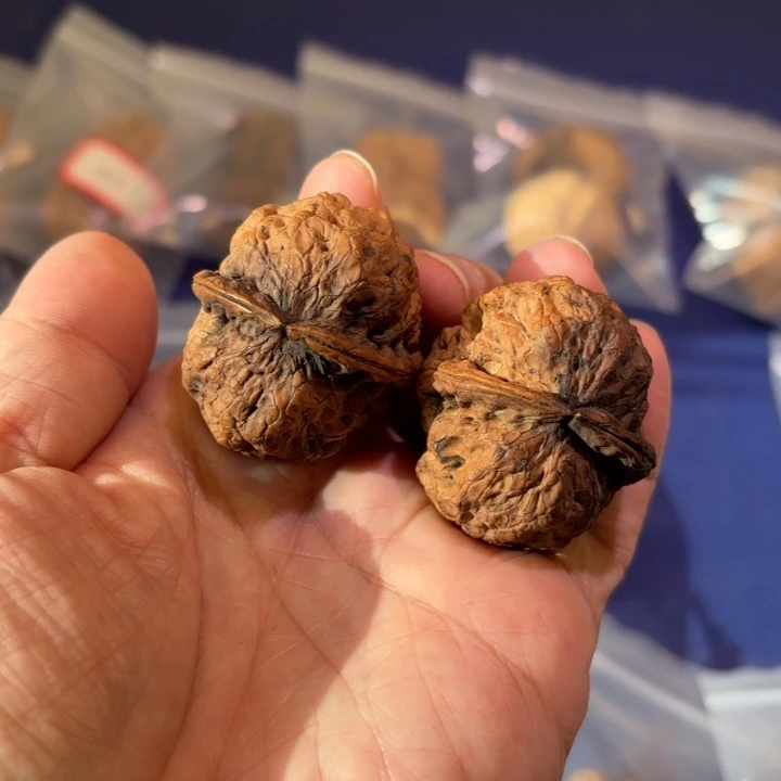 吊坠文玩核桃红河龙珠40