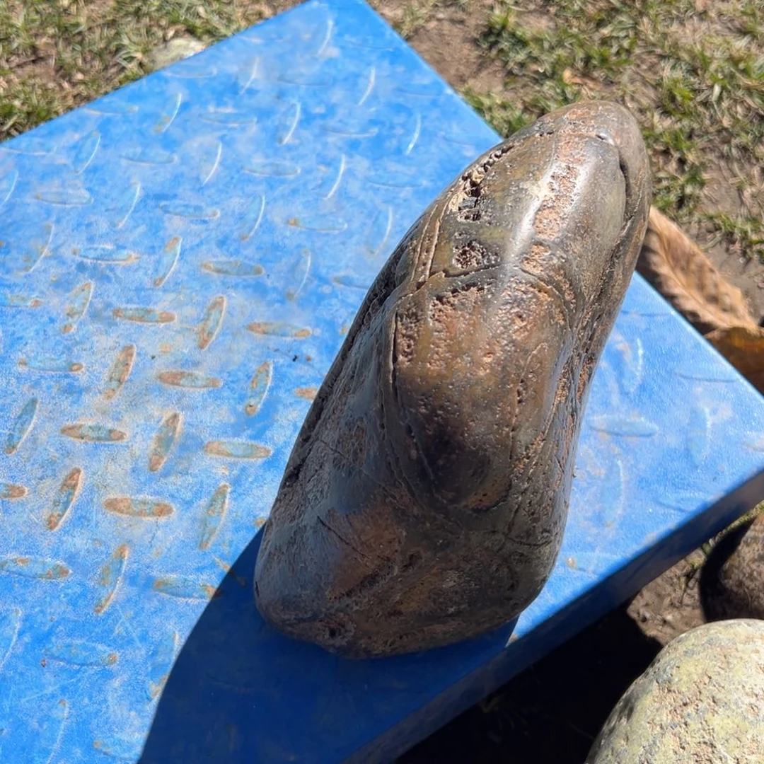 大***菜长石玉合金藏玉藏玉