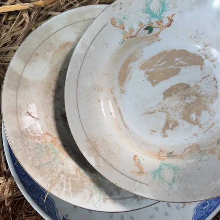 瓷片景德镇陶瓷两个