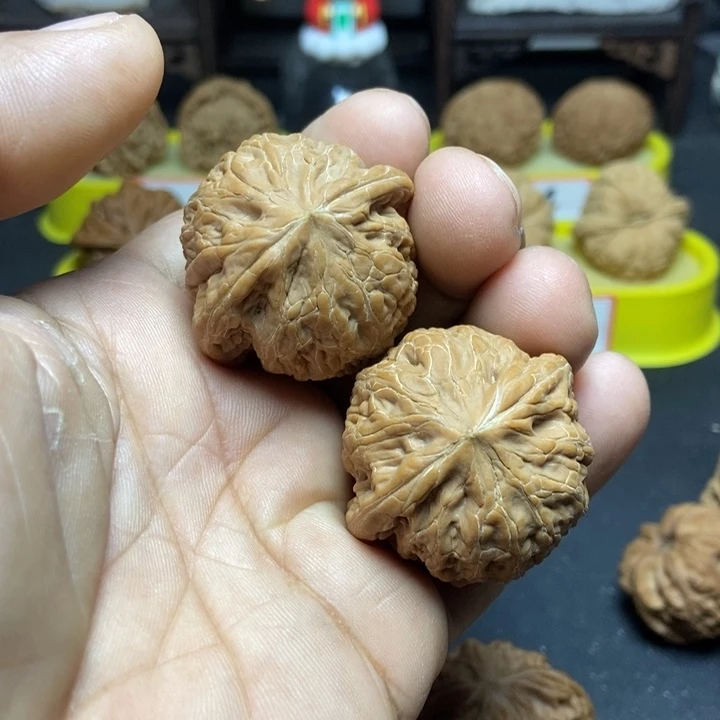 核桃铁锤妹妹005