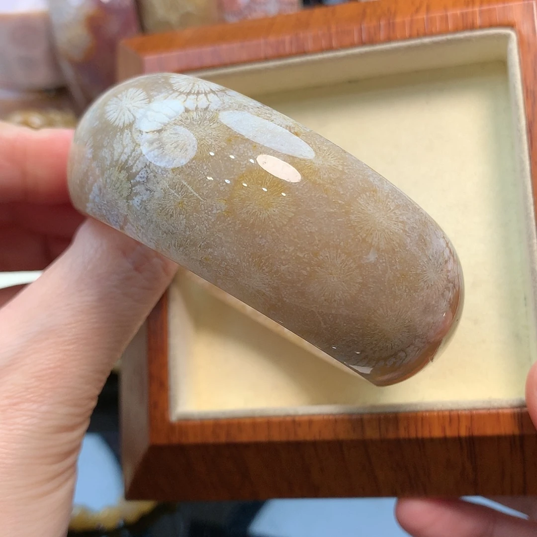 未镶嵌手镯硅化珊瑚（珊瑚玉）57.5口350