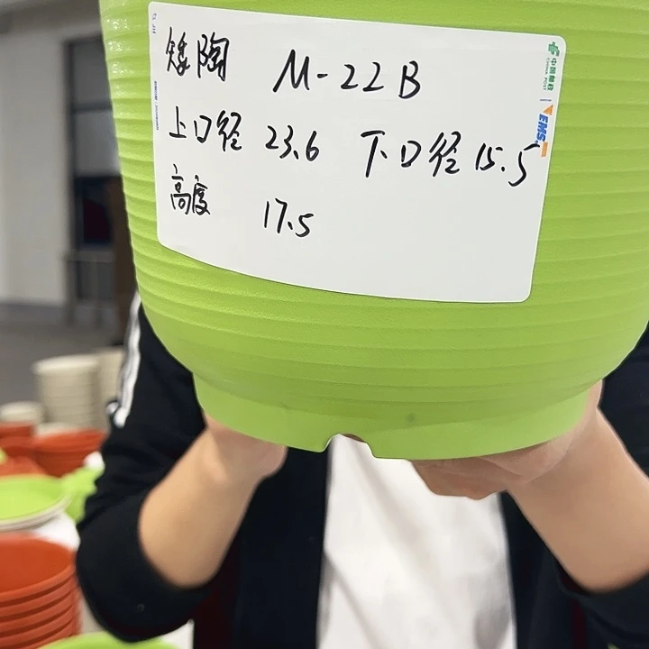 正品矮陶口24高17果绿6只无托
