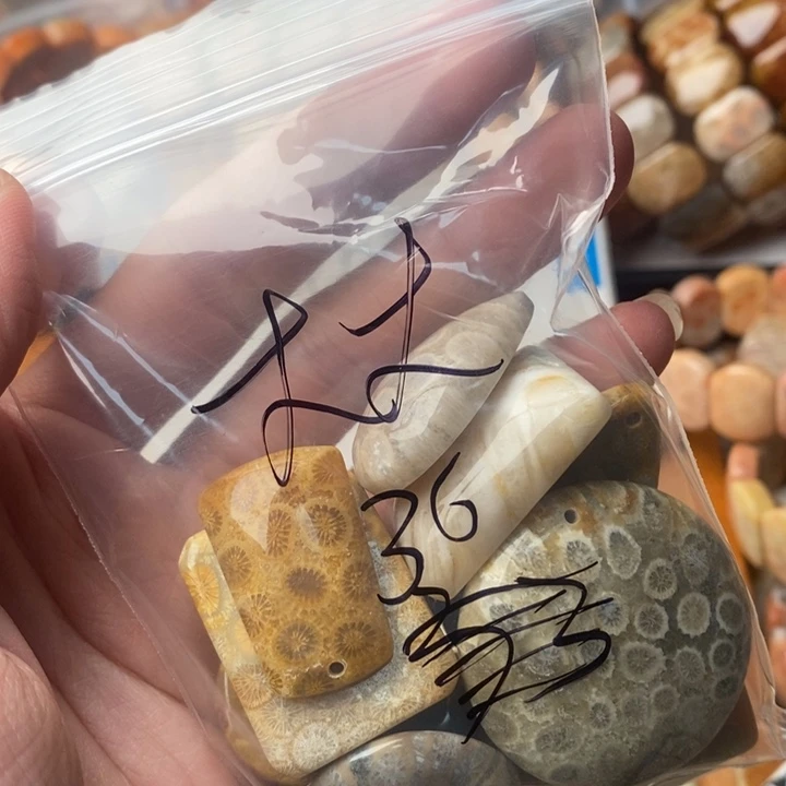 大***大颈饰未镶嵌硅化珊瑚（珊瑚玉）