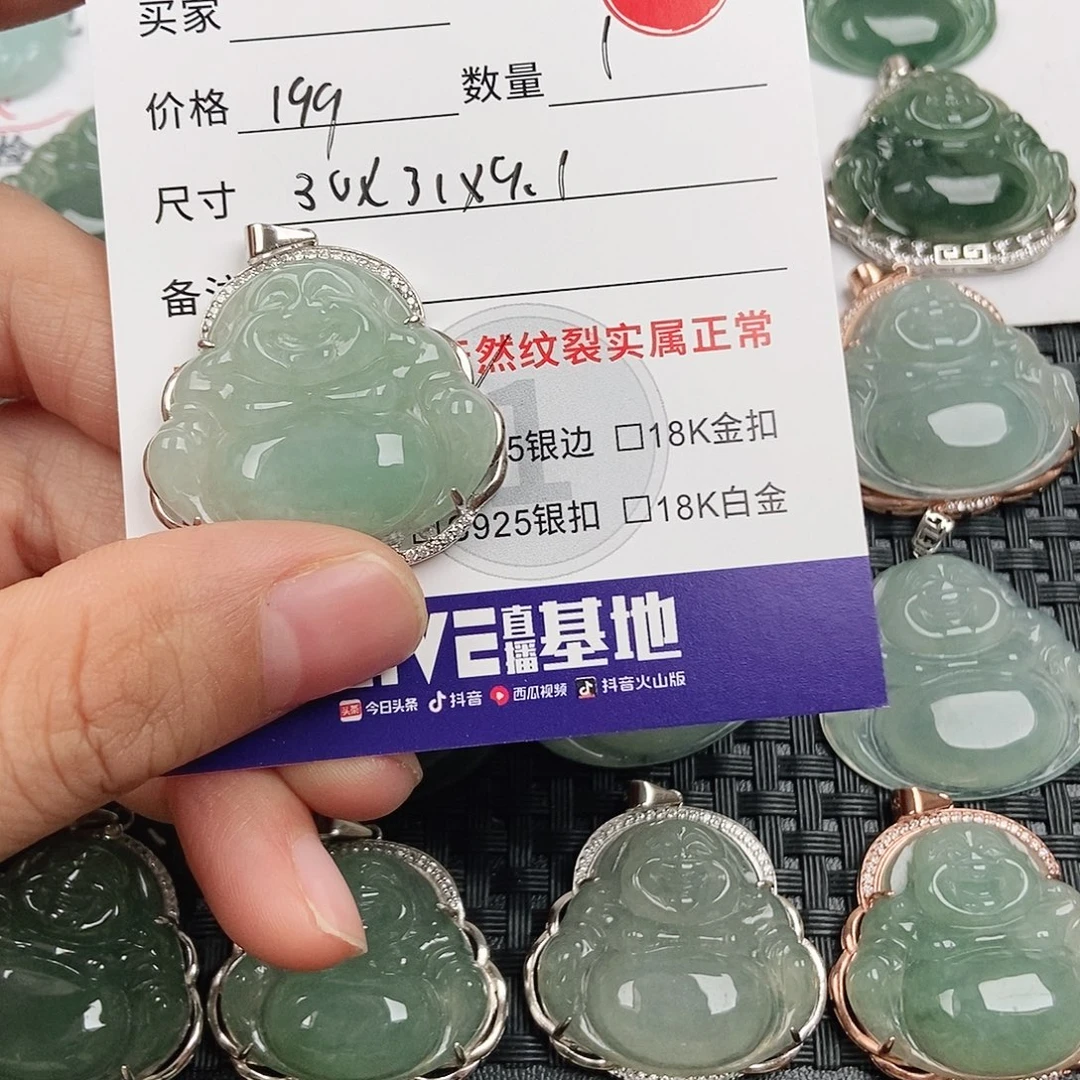 翡翠银S925镶嵌颈饰