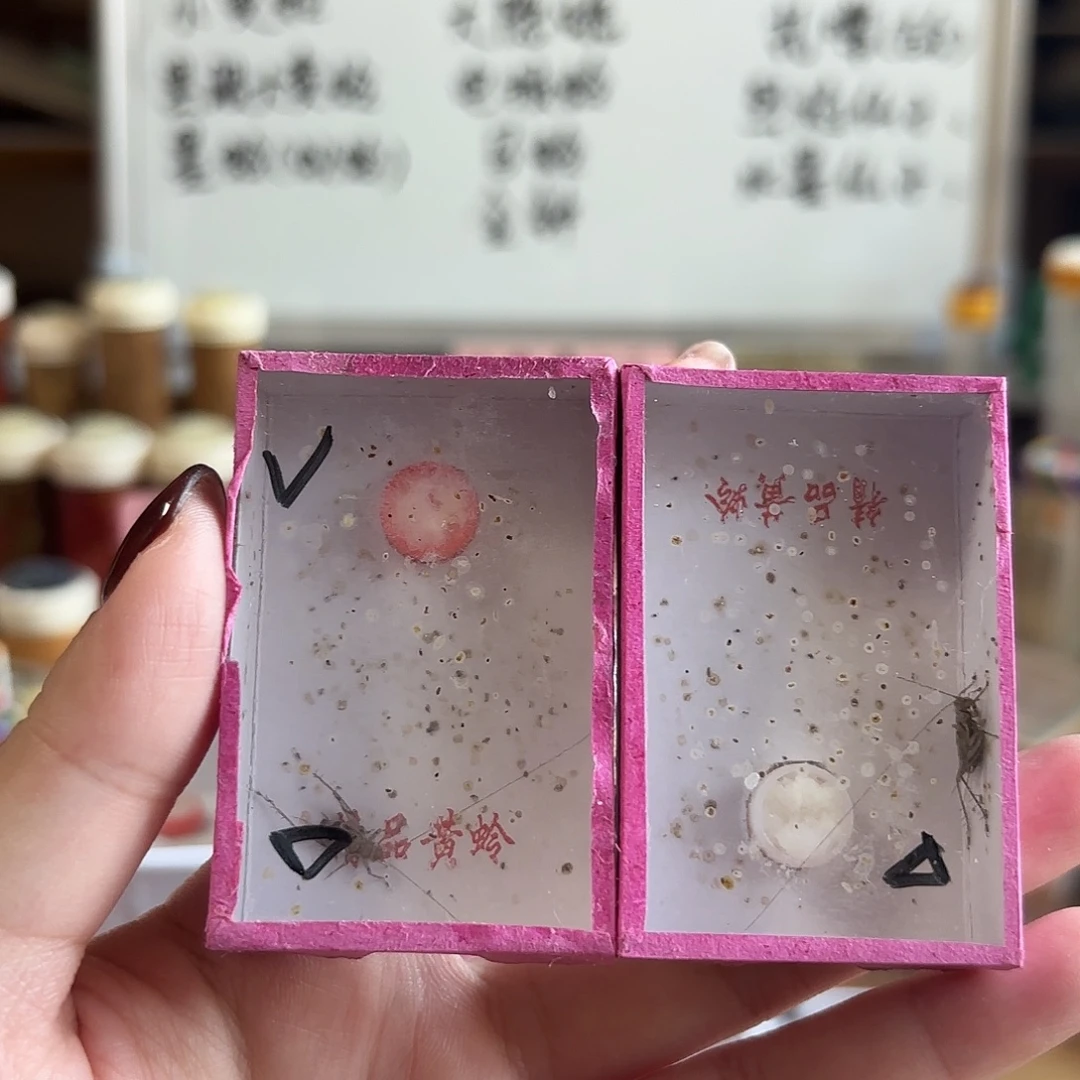 两条中须野生金蛉有单