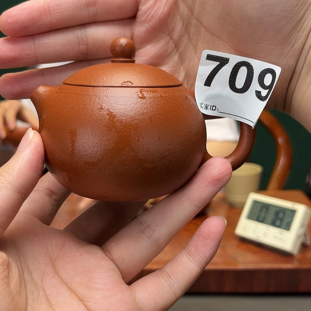 茶壶紫砂西施生砂生料朱泥709