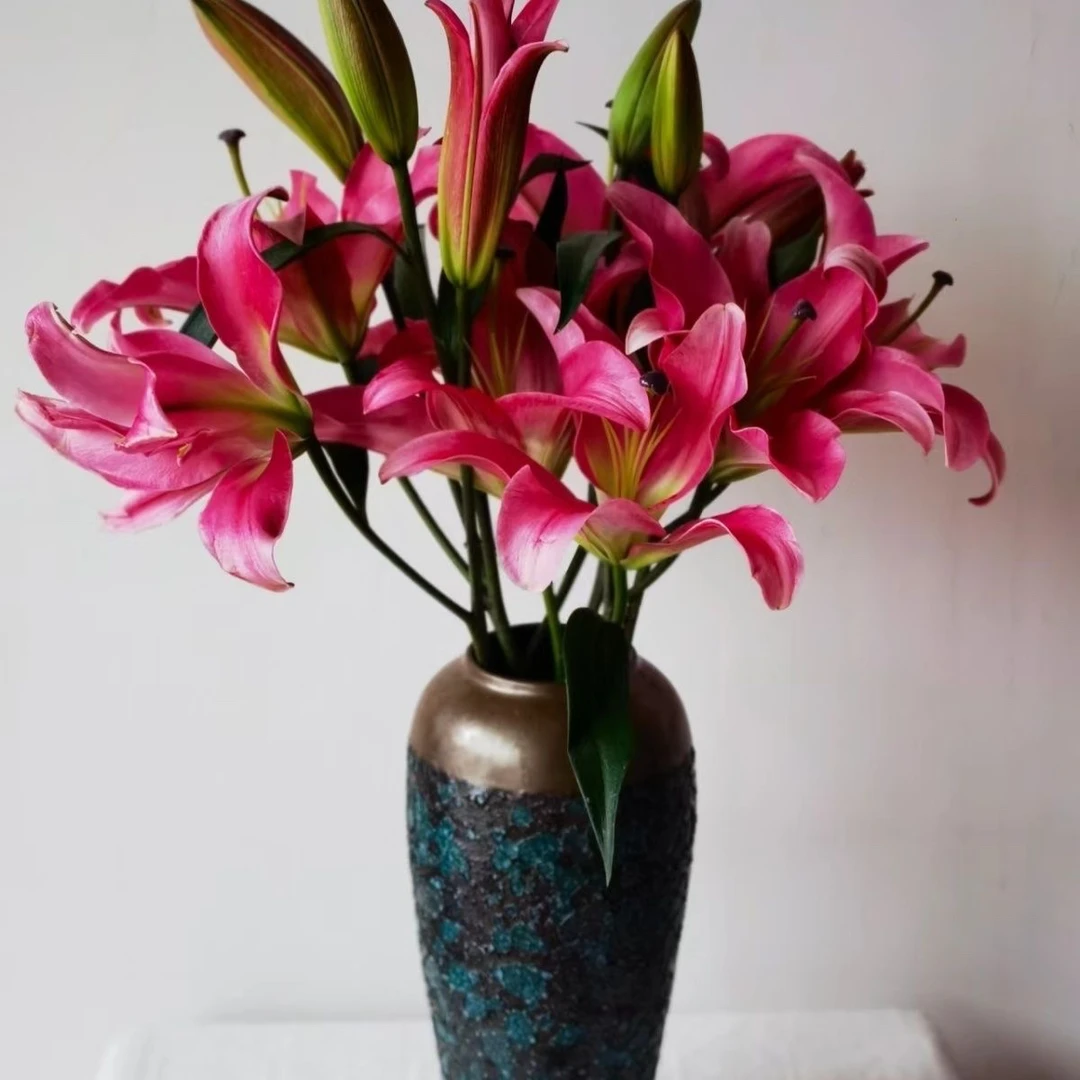 红百合 不少于8个花苞 今天下单明天到