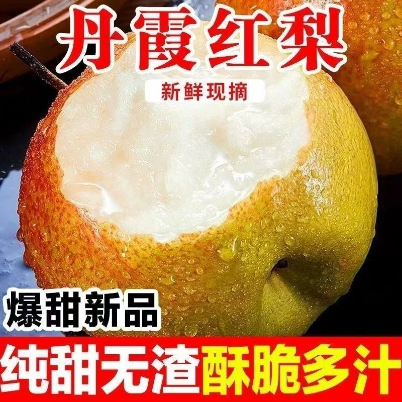 【产地直发】正宗山西运城丹霞红梨当季热卖新鲜水果香梨酥梨