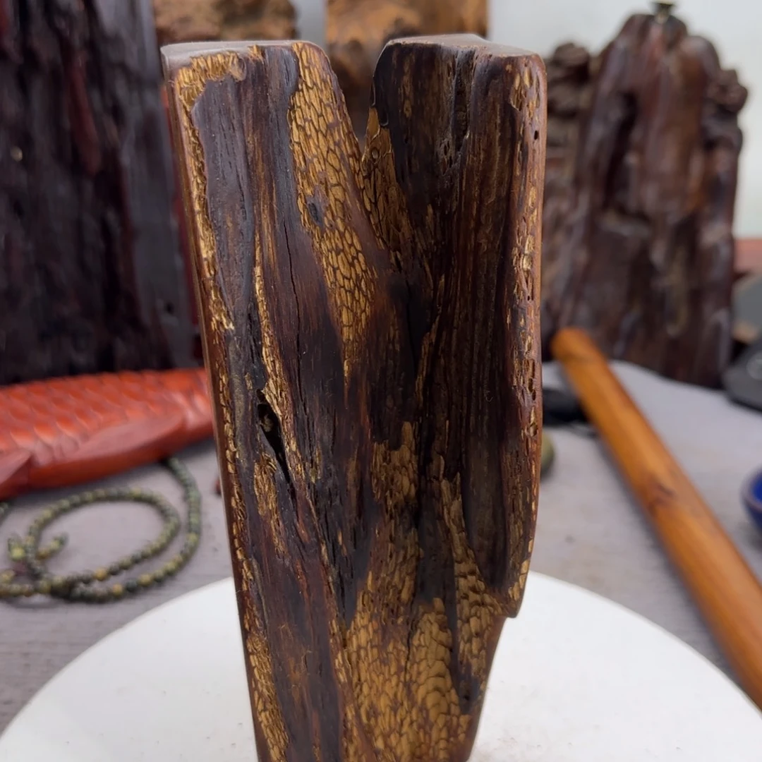 大果紫檀（缅甸花梨）照**行