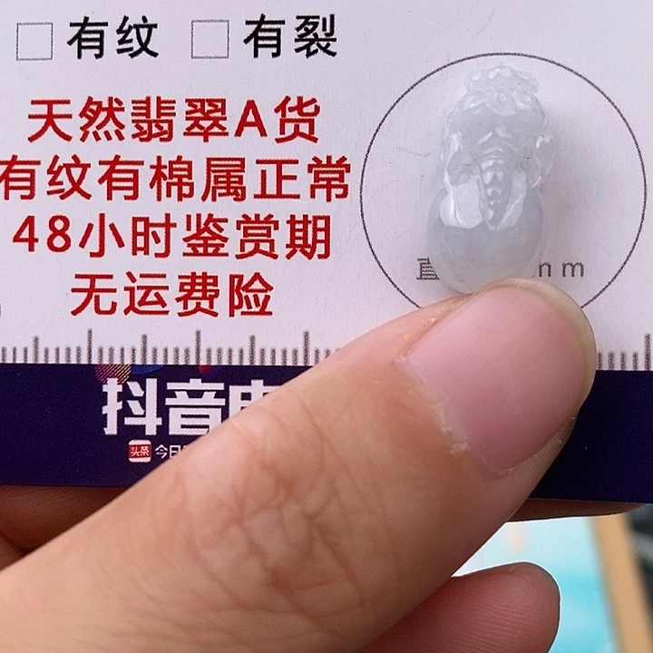 颈饰未镶嵌翡翠貔貅