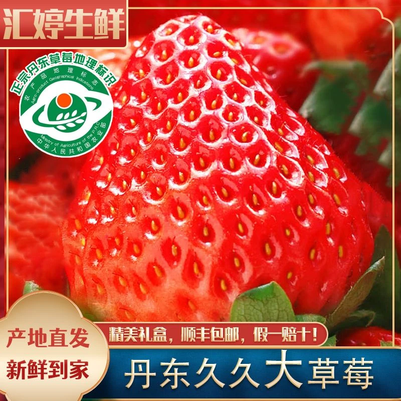 【顺丰包邮】新鲜丹东久久大草莓红颜草莓奶油礼盒孕妇水果九九草莓