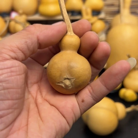 哇*158888898899999