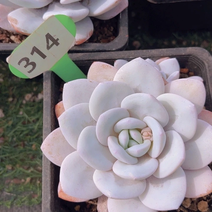 健健康康平平安安