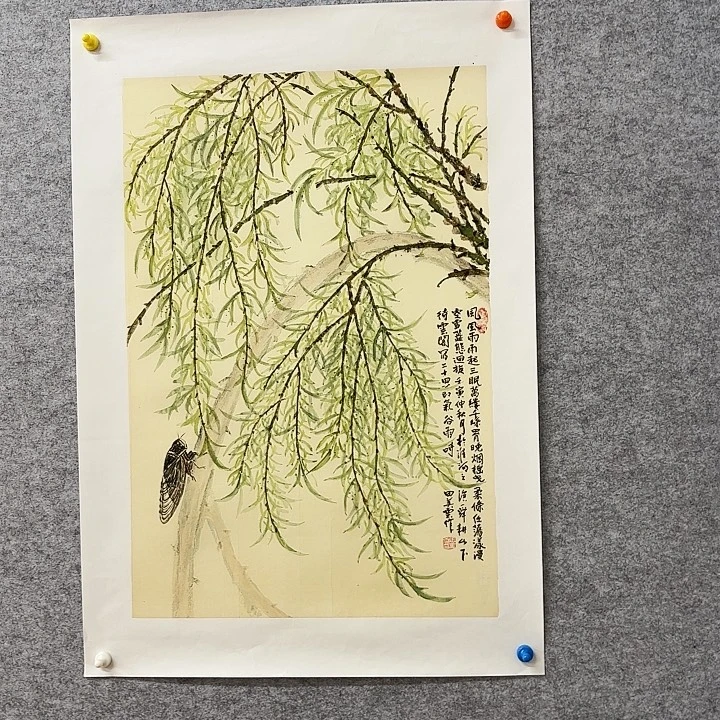 国画花鸟等多种鸟类的