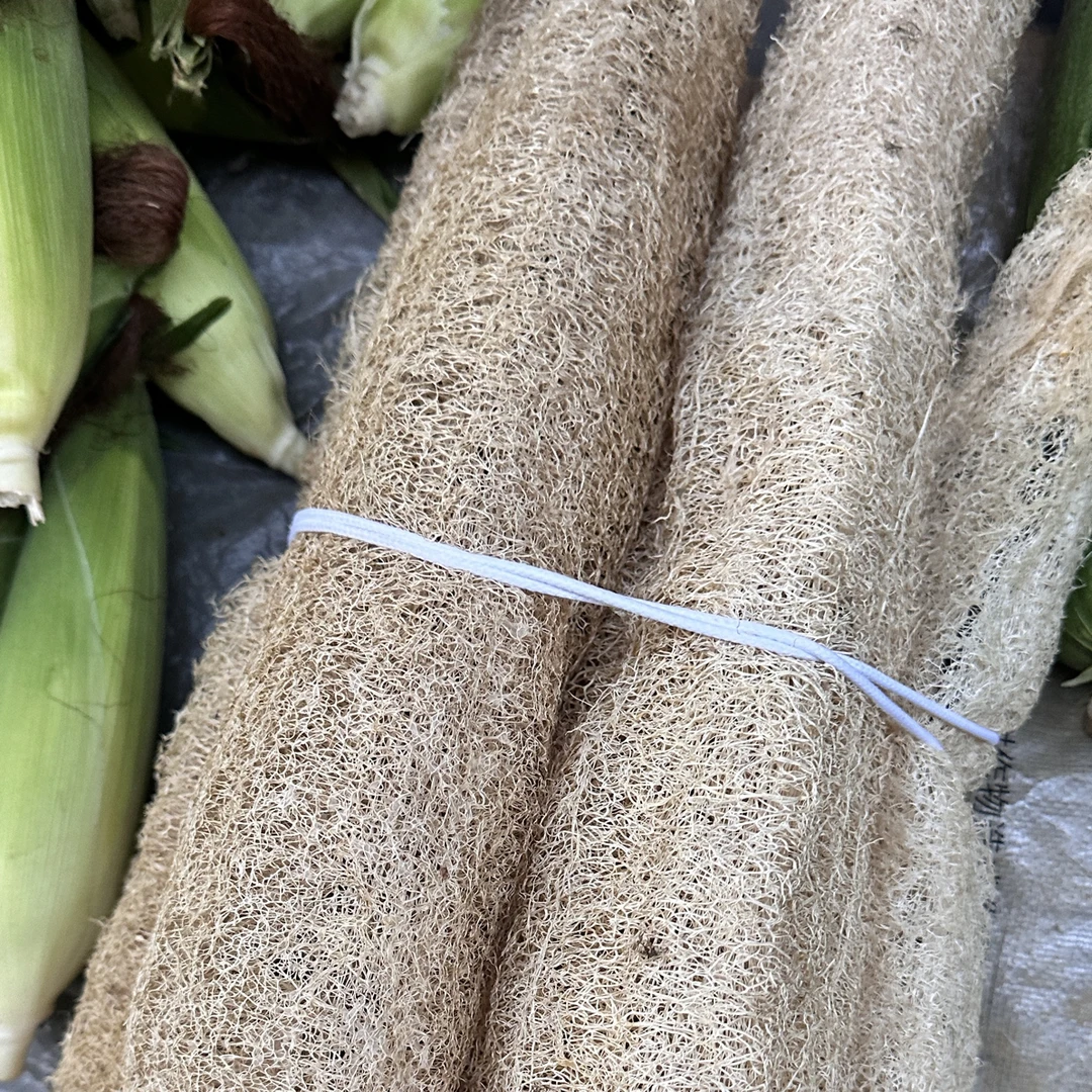丝瓜络洗碗丝瓜内胆（需要什么带你找）