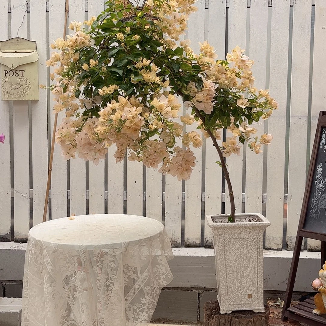 完全开放1111111111.980