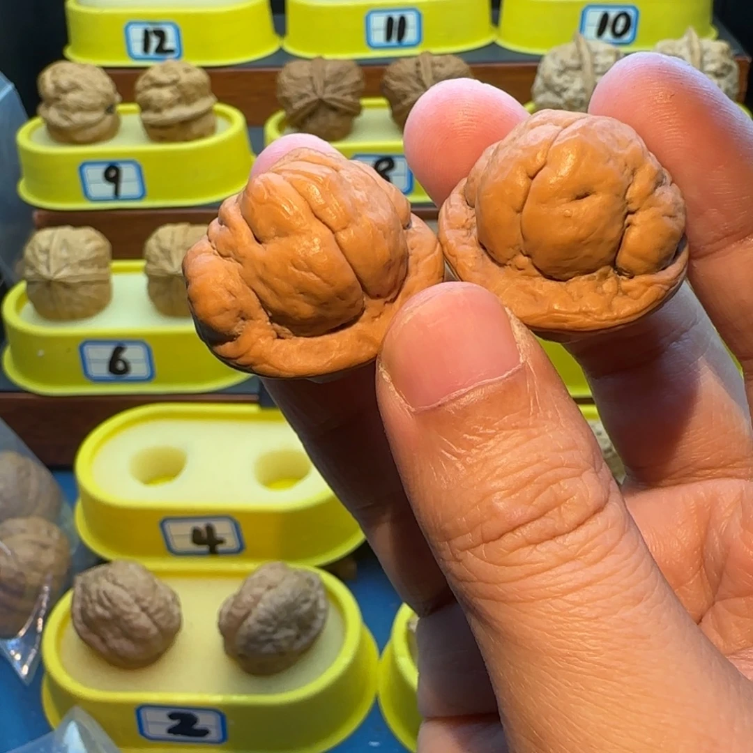 动***次把件桃核金刚鹦蟾