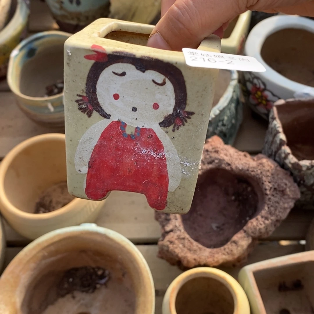 红陶2号多肉盆小可爱