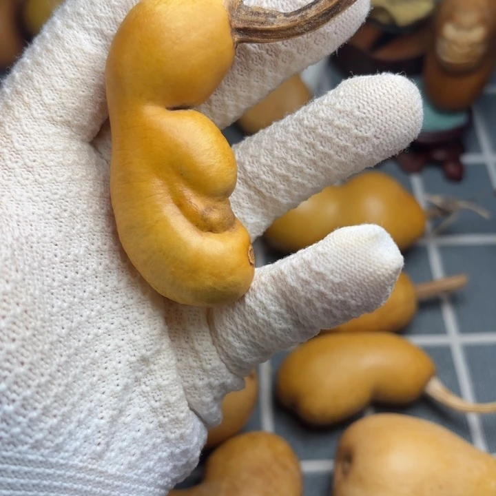 拥***梦风裂666666666666666