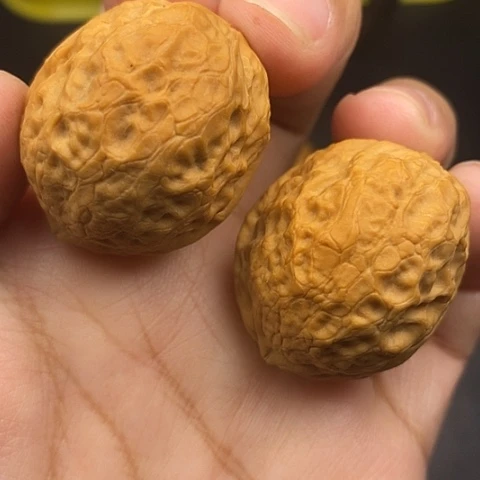 文玩核桃把件35尺元宝