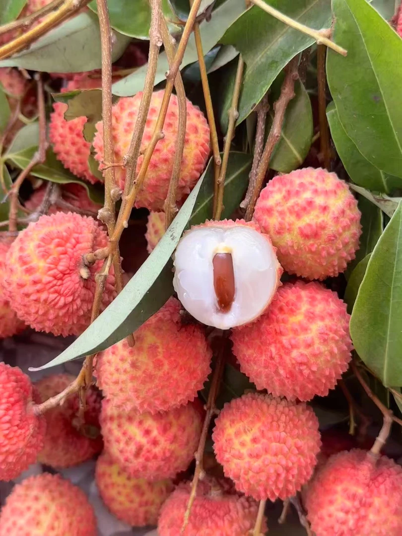 【京东冷链包邮】高州桂味荔枝现摘新鲜发货茂名中核纯甜无酸