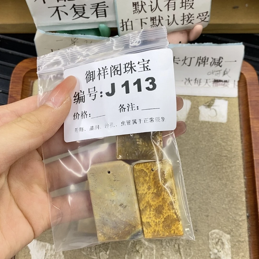 硅化珊瑚（珊瑚玉）未镶嵌颈饰念*