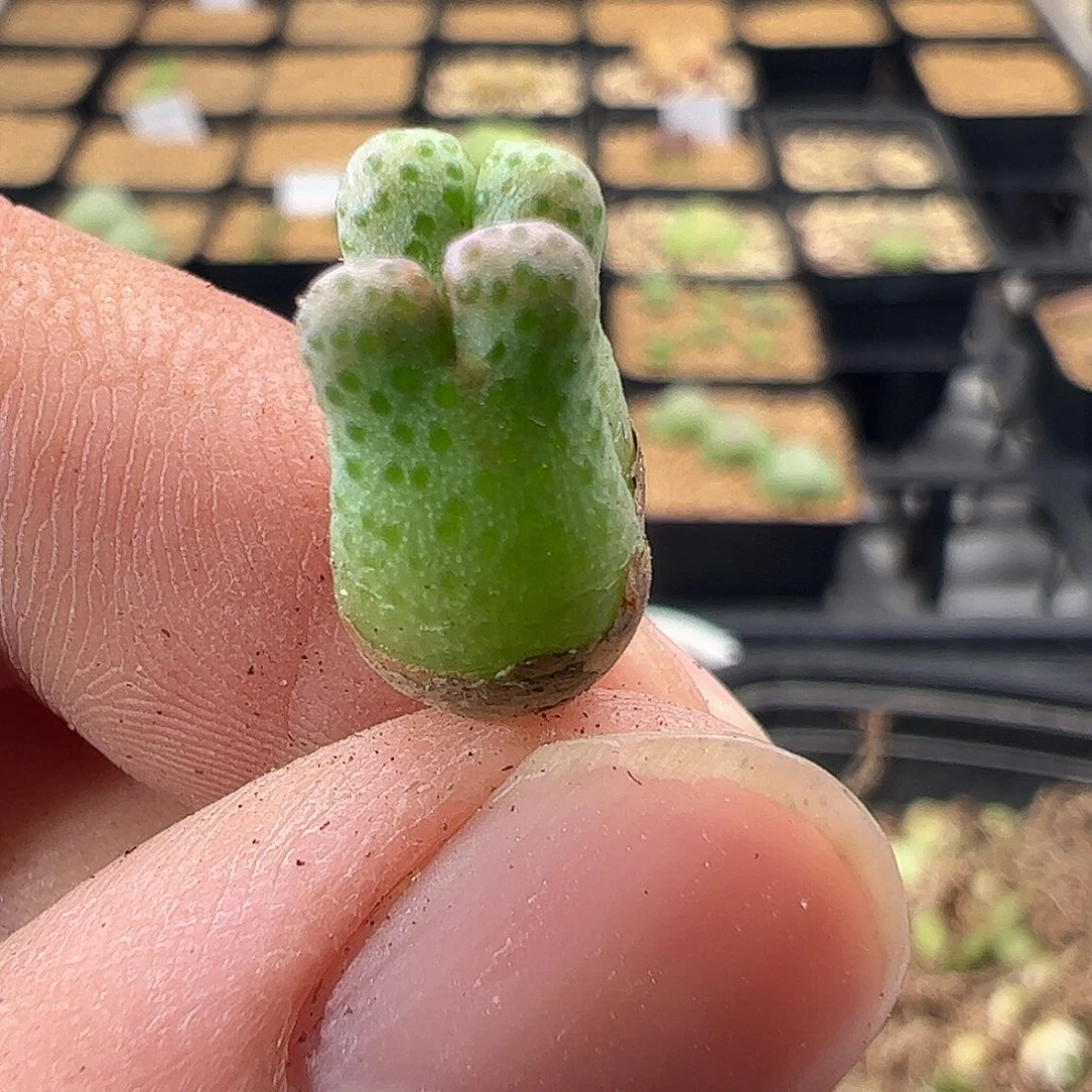 000095 一物一拍……